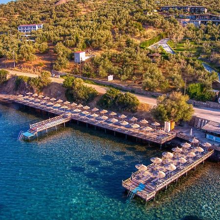 Assos Dionysos Special Class Hotel Adults Only 12 Years Exterior foto