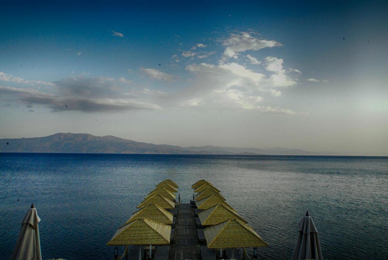 Assos Dionysos Special Class Hotel Adults Only 12 Years Exterior foto