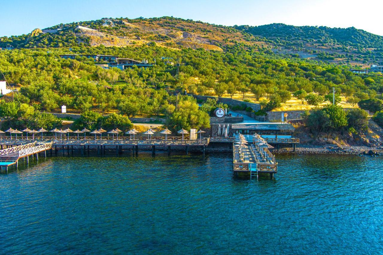 Assos Dionysos Special Class Hotel Adults Only 12 Years Exterior foto