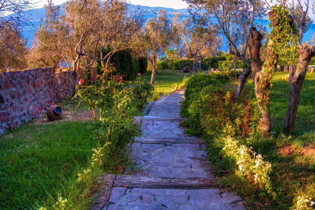 Assos Dionysos Special Class Hotel Adults Only 12 Years Exterior foto