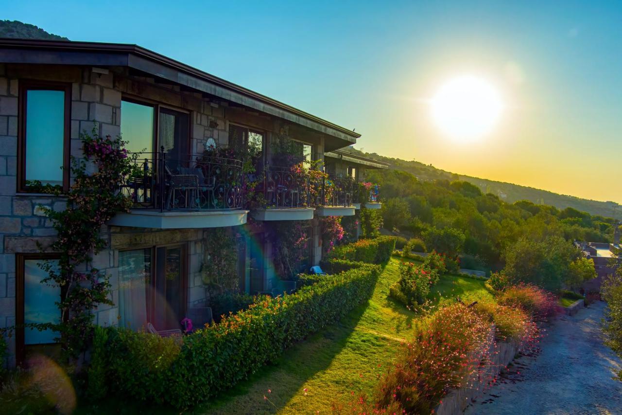 Assos Dionysos Special Class Hotel Adults Only 12 Years Exterior foto