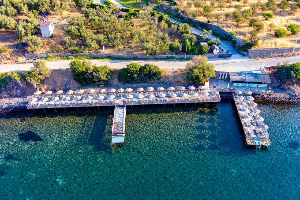 Assos Dionysos Special Class Hotel Adults Only 12 Years Exterior foto